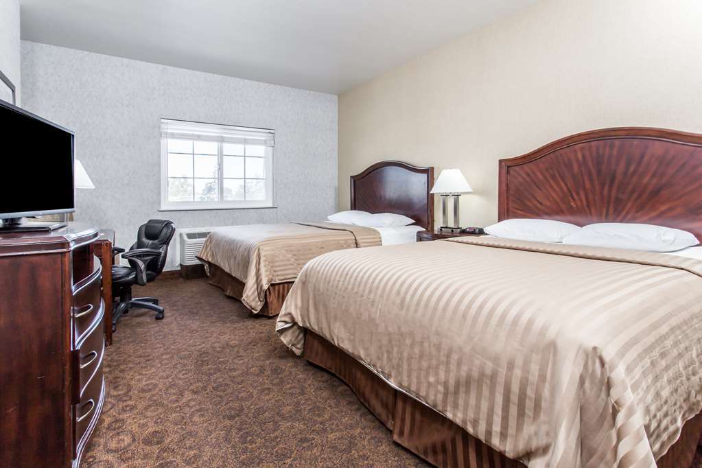 Hotel 1550 San Bruno Rum bild